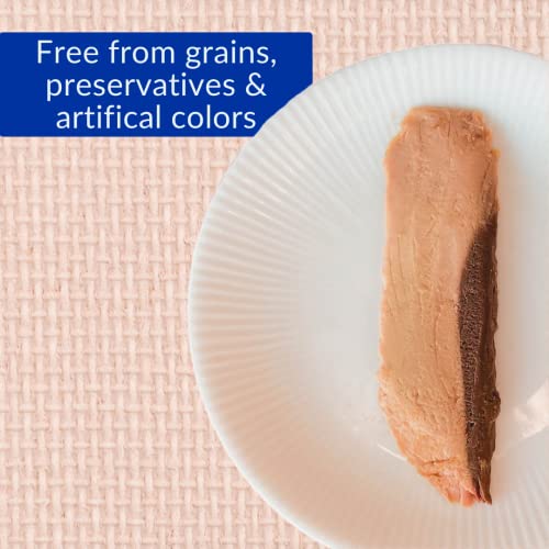 INABA Grilled Tuna Fillet Cat Treats