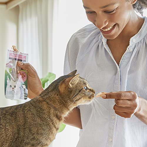 INABA Grilled Tuna Fillet Cat Treats