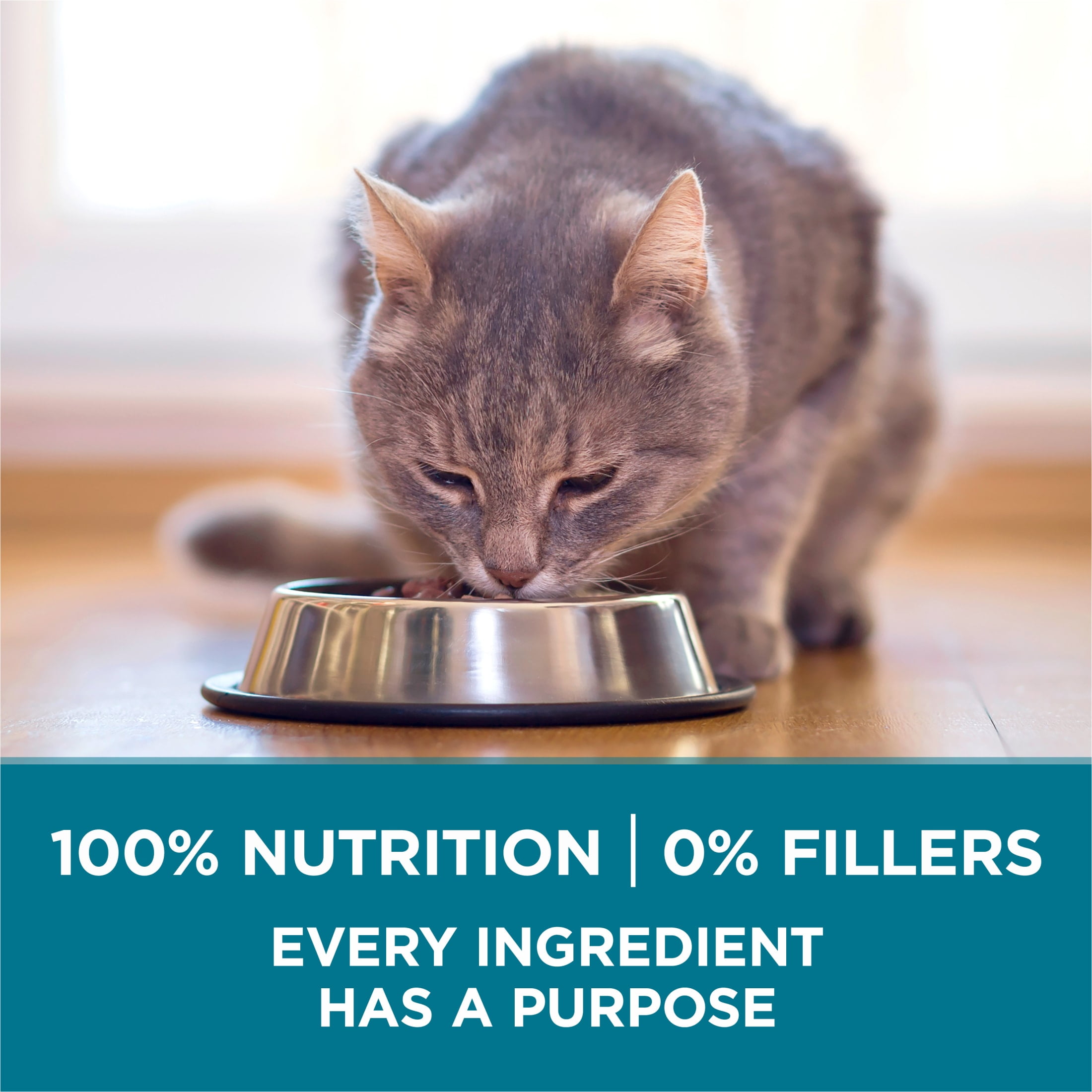 Purina ONE Chicken Tender Select Cat Food 22lb