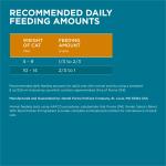 Purina ONE Chicken Tender Select Cat Food 22lb