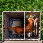 Weather-Proof Lifetime Dog House with Adjustable Vents