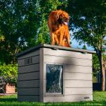 Weather-Proof Lifetime Dog House with Adjustable Vents