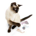 Set of 3 Catnip Mice Toys