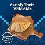 Blue Buffalo Soft-Moist Cat Treats - Chicken & Turkey