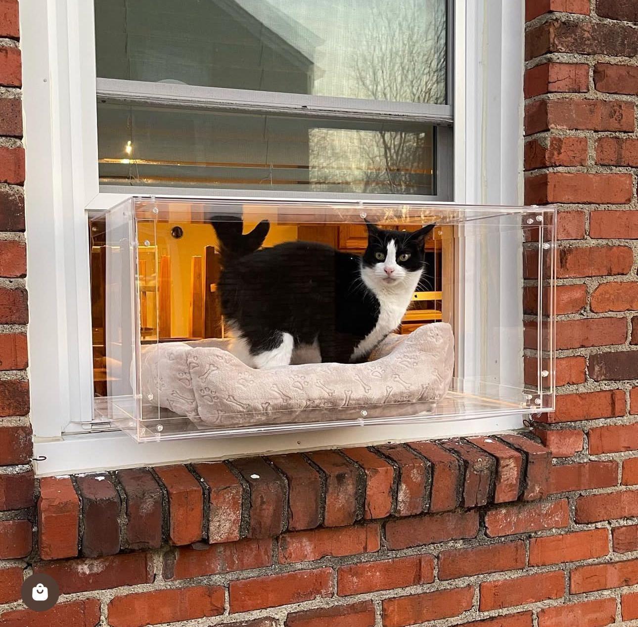 Window Catio - Custom Fit (24"-36")