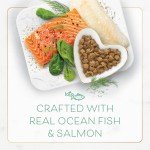 Ocean-fish & salmon Fancy Feast for cats - 7lbs