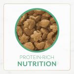 Ocean-fish & salmon Fancy Feast for cats - 7lbs