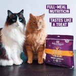 Stella & Chewy's Chicken Dinner Morsels - 8 oz