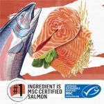 Natural Salmon Cat Food - 3lbs