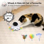 ORSDA 2-in-1 Interactive Laser Cat Toy