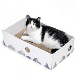 Large Interactive Cat Scratcher Box and Lounger