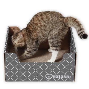 Durable Cardboard Cat Scratcher Box and Bed