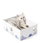 Large Interactive Cat Scratcher Box and Lounger