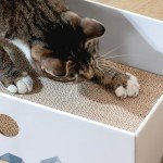 Large Interactive Cat Scratcher Box and Lounger