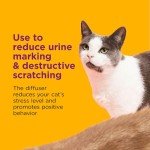 Calming Diffuser Kit for Happy Cats - 2 Pack