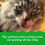 Indoor Tuna Treats for Cats