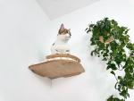 Wall-mounted Cat Furniture & Shelves