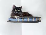 Wall-mounted Cat Furniture & Shelves
