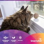 SmartyKat Catnip Kiss Compressed Ball Toy