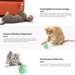 LED Light Interactive Rotating Cat Toy Ball