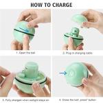 LED Light Interactive Rotating Cat Toy Ball