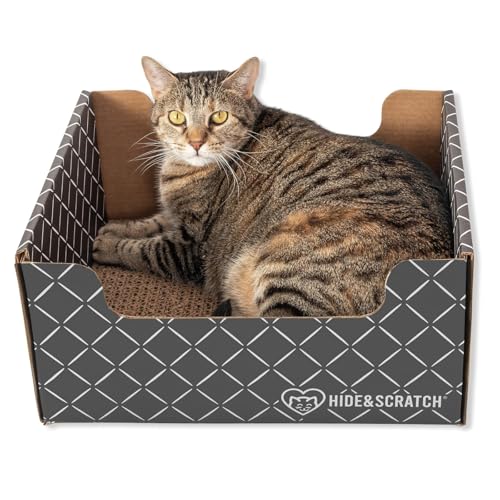 Durable Cardboard Cat Scratcher Box and Bed