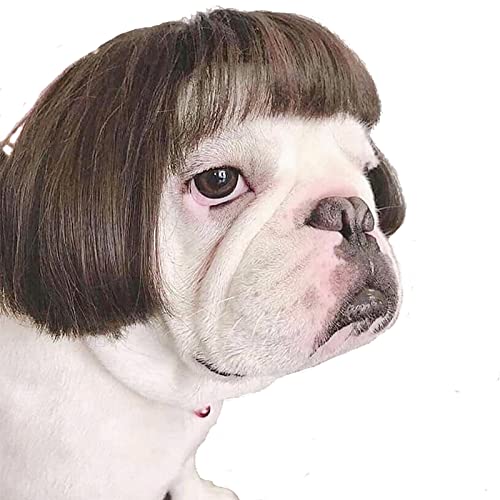 Funny Pet Wig for Halloween and Parties
