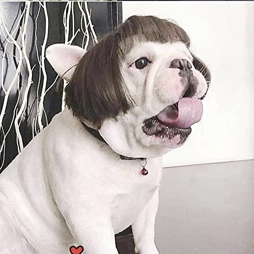 Funny Pet Wig for Halloween and Parties