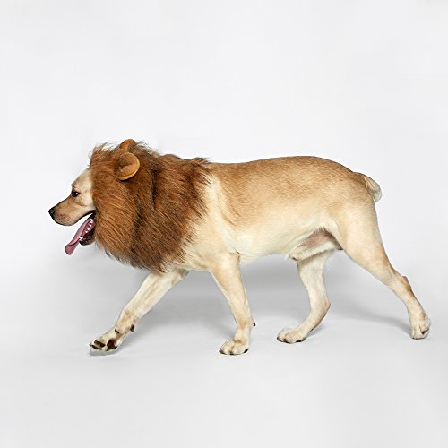 Funny Lion Mane Wig for Medium to Large Dogs