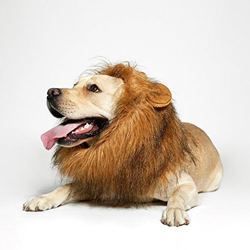 Funny Lion Mane Wig for Medium to Large Dogs
