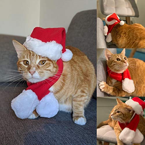 Cat Christmas Hat with Muffler for Pets