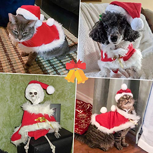 Red Christmas Cat Costume with Bells and Cape