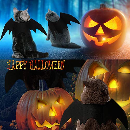 Bat Wings Costume for Cats and Dogs