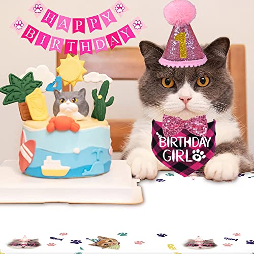 Pink Cat Birthday Party Hat and Bandana Set
