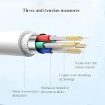 iPhone CarPlay USB C Cable 3FT