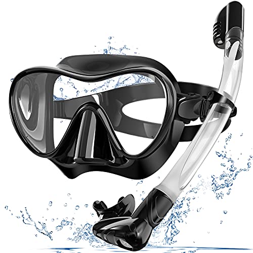 Professional Full Dry Top Snorkel Set for Adults