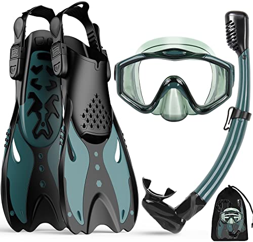 Adult Snorkel & Diving Gear Set