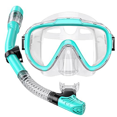 Adult Snorkel Set with Panoramic View