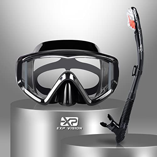 Professional Diving Snorkel Set - Black