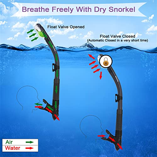 Professional Diving Set with Anti-Fog Glass and Mouthpiece