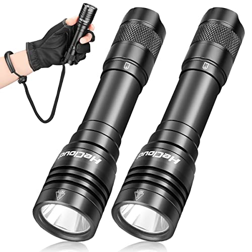 HECLOUD 2-Pack Rechargeable Dive Flashlights - 1200 Lumens