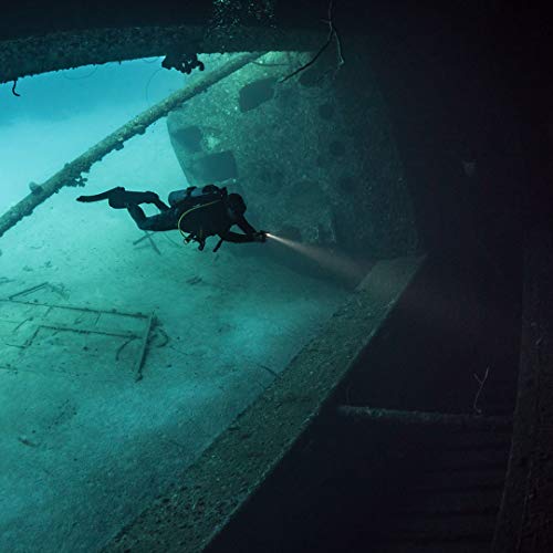 Compact Black Dive Light with 2500 Lumens