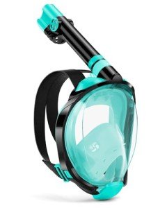 WSTOO Full Face Snorkel Mask with Dry Top