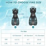 Adult Snorkel & Diving Gear Set