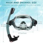 Adult Snorkel & Diving Gear Set