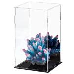 Acrylic Display Case for Action Figures and Collectibles