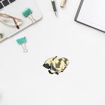 Appa - The Last Airbender Collectible Pin