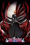 Bleach Poster Anime Merch Manga Ichigo Merchandise Series Comic Art Action Character Swords Ichigo Kurosaki Soul Reaper Viz Media Japanese Animation Cool Wall Art Print Poster 16x24