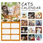2025 Calendar - Wall Calendar 2025, Jan. 2025 - Dec. 2025, 12" x 24" (Open), 2025 Wall Calendar with Unruled Blocks - Cutie Cat