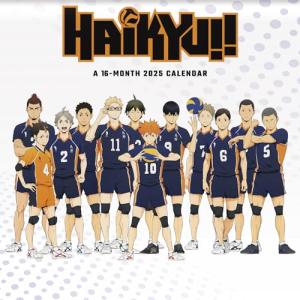 2025 Haikyu!! Wall Calendar
